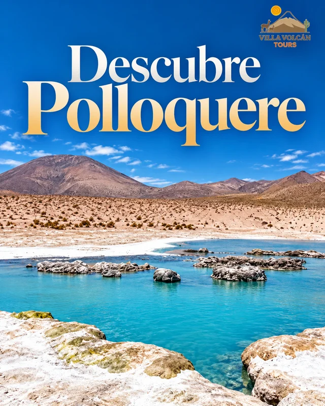 Descubre Polloquere